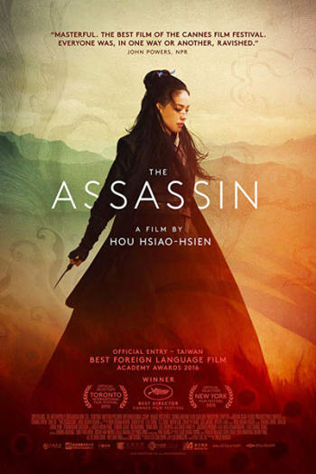 The Assassin 2015